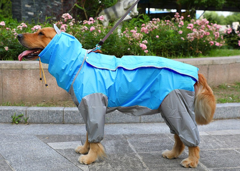 Big Dog Rain Coat