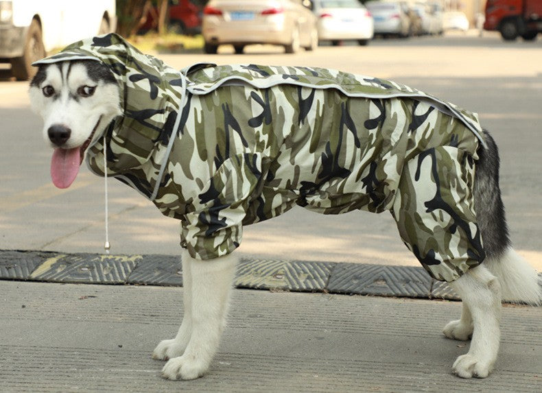 Big Dog Rain Coat