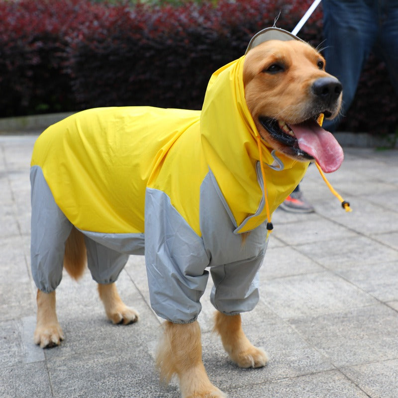 Big Dog Rain Coat