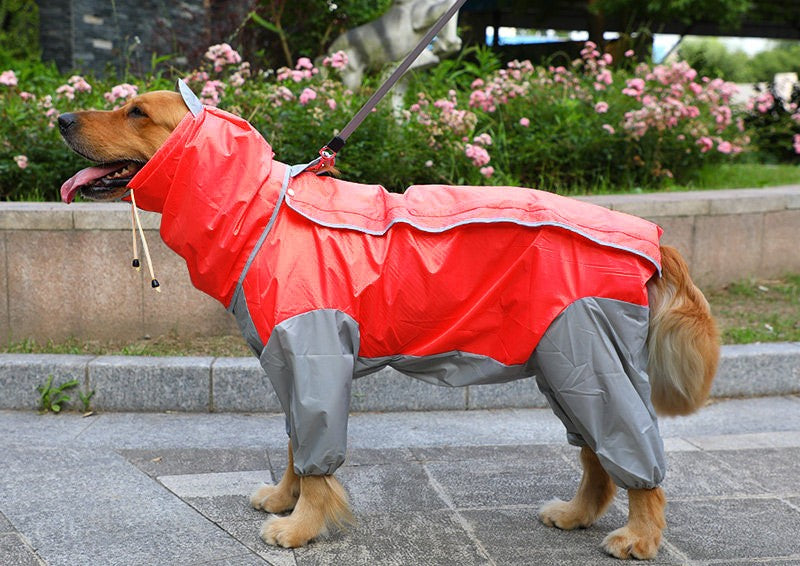 Big Dog Rain Coat