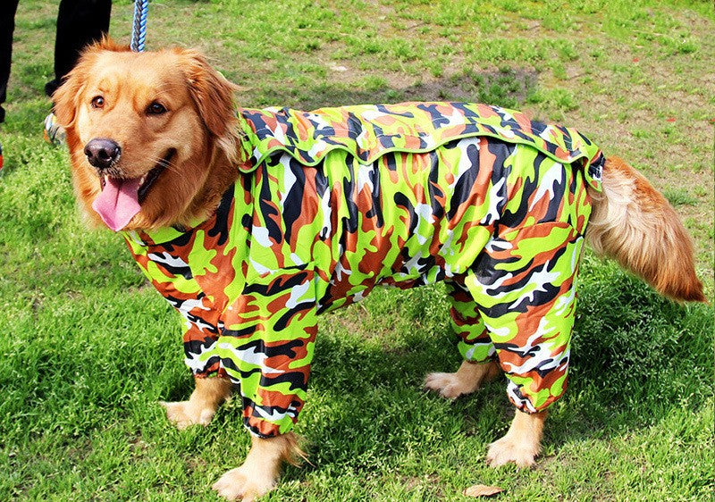 Big Dog Rain Coat