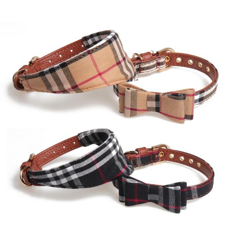 Bowtie Dog Collar