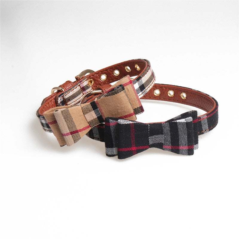 Bowtie Dog Collar