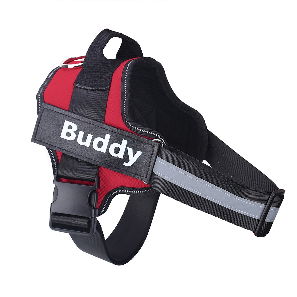 Strap N Walk-Personalized Safety Dog Harness