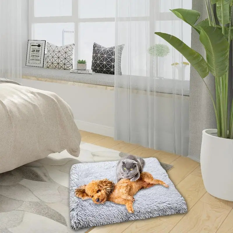 Two-In-One Plush Cat Bed + Laundry Bag