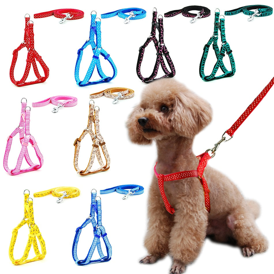 Dog Harness Leash | Cat Harness Leash | The Pets Beat