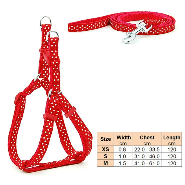 Dog Harness Leash | Cat Harness Leash | The Pets Beat