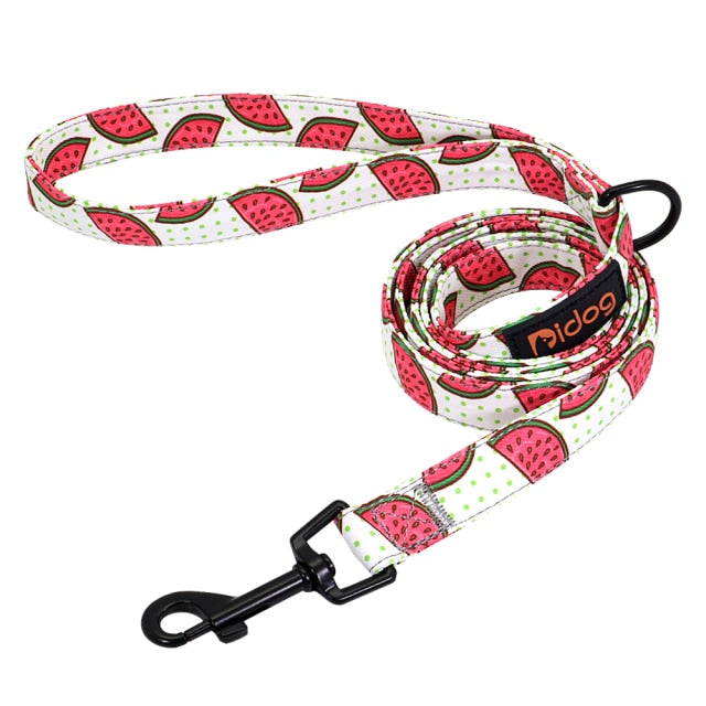 Printed Dog Leash | Custom Dog Leash | The Pets Beat