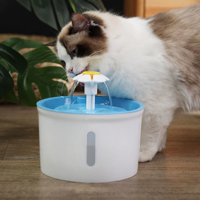 Cat Water Dispenser - Cat Water Feeder | The Pets Beat